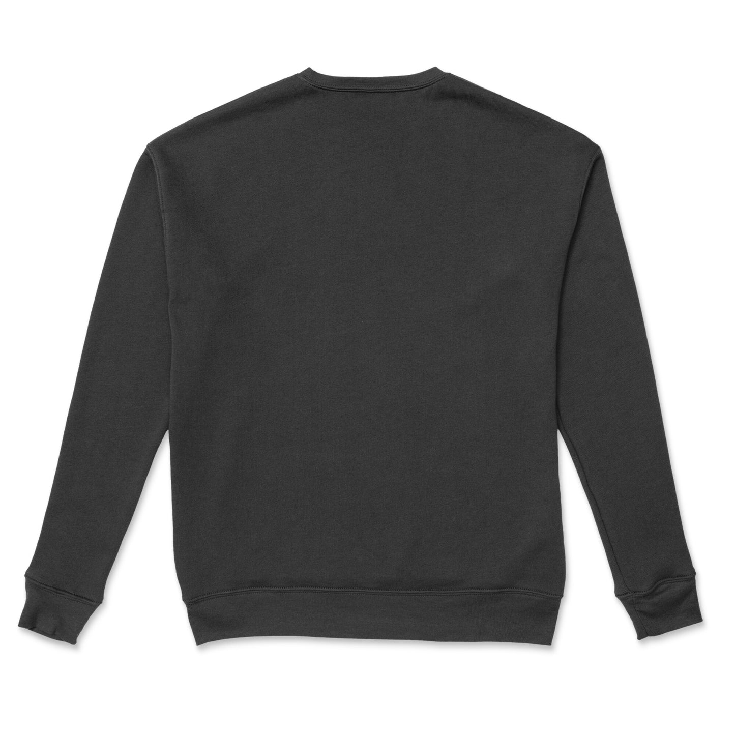 Tyler Yunus Weston sweatshirt black back adjusted